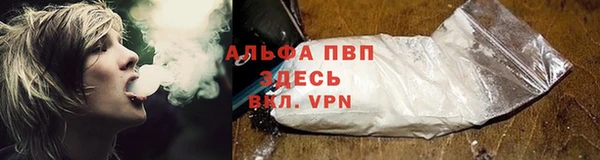 дмт Ельня