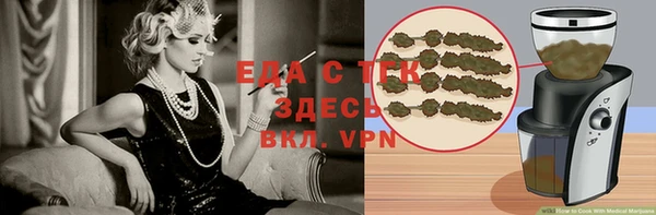 дмт Ельня