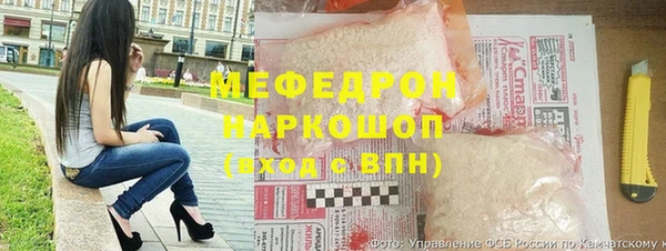 дмт Ельня