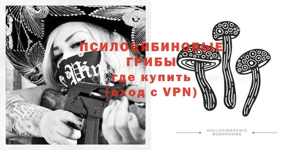 прущий лед Дмитровск