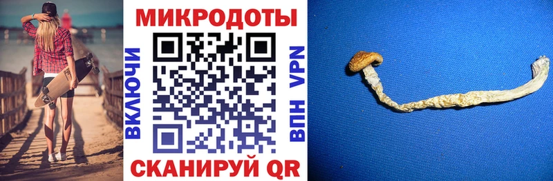 Псилоцибиновые грибы мухоморы  купить  цена  Чаплыгин 